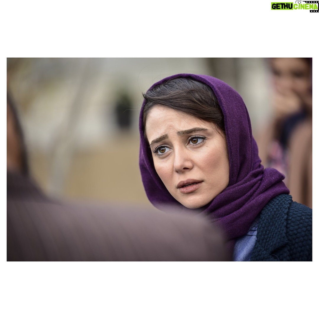 Elnaz Habibi Instagram - فيلم سينمايى خجالت نكش اكران در جشنواره فجر🎬 گارگردان رضا مقصودى تهيه كننده امير پروين حسينى عكاس ميلاد كيايى @miladkiaee.art @hamedmukhtari @amirparvinhosseini