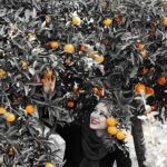 Elnaz Habibi Instagram - نسيمى مى وزد با عطر بهار نارنج به گمانم همين حوالى لبخندى بر لبانت شكفته🍂 Photo by @ahmadreza_shojaei