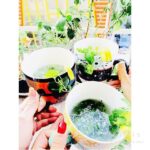 Elnaz Habibi Instagram - آدمها!!! همدیگر را پیدا می کنند... از فاصله های خیلی دور، از تهِ نسبت های نداشته... انگار جایی نوشته بود که این ها باید کنار هم باشند!! می شوند همدم ، می شوند دوست ، مى شوند رفيق ، اصلا می شوند جانِ شیرین..!! درست می نشینند روی تاقچۀ دلِ هم ... حرفهایشان یک جورِ خوبی دلنشین است، دل برای خنده هاشان ضعف می رود؛ اصلا بودنشان شیرین است !!!! وقتی هم که نیستند، هی همدیگر را مرور می کنند و مُدام گوش به زنگ آمدن هم هستند......!!!!! خدا این آدمها را نگیرد از آدمها.....