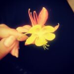 Elnaz Habibi Instagram - مناجاتنامه خدایا دلم که برایت تنگ می شود، با آنکه می دانم همه جا هستی، اما به آسمان نگاه می کنم، چرا که آسمان سه نشانه از تو دارد: بی انتهاست، بی دریغ است و چون یک دست مهربان همیشه بالای سرماست! پس در این روز از توبرای عزیزانم سلامتی. , نشاط , دلخوشی , و عاقبت بخیری و بر آورده شدن حاجات طلب میکنم الهی امین 🌷