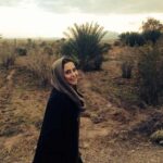 Elnaz Habibi Instagram -