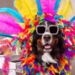 Elton John Instagram - I just loved seeing everyone’s inspired Halloween outfits!! 🎃👻 Now Halloween is over, we know what we’re stepping into next…🎄🎅🏼🎄 Thank you to some of my favourites for sharing 🚀 @tochi.art @wearetheglittergospel @thebernerbunch erinx_watson lilihayes91 momoandrorschach .camden.hyde av.wootwoot deathspellls jordanpackitup bethfrombklyn babyxcam keelytay madddavidson 777finley