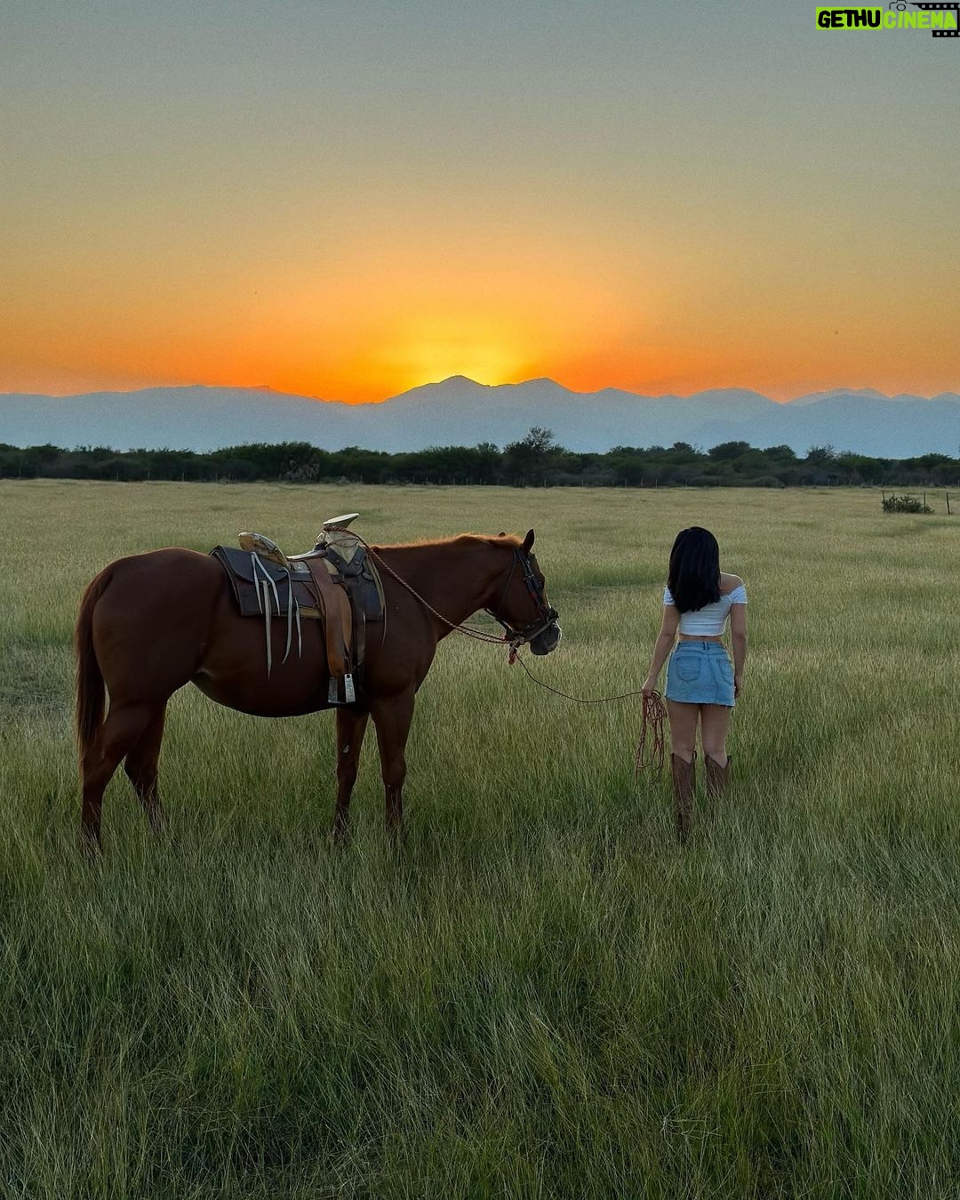 Emeraude Toubia Instagram - ๐งก๐โจ #nofilter Tamaulipas, Mexico