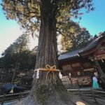 Emicida Instagram - こんにちわ. しぶや花魁