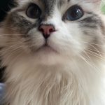 Emma Myers Instagram - a few things :3