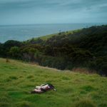 Emma Myers Instagram - roly poly