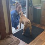 Emmy Raver-Lampman Instagram - II LUNA. HARGREEVES. II