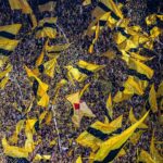 Emre Can Instagram - Proud to captain the team to our first three points ⚫️🟡 Dank an alle Fans für die Unterstützung! 🙌🏽 SIGNAL IDUNA PARK