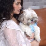 Ena Saha Instagram - Cute and puffy is our love language. #enasaha #photooftheday #photoshoot #actress #brown #dress #trending #statement #tollywood #tollywoodonline #outfitoftheday #actorslife #home #sunset #light #explorepage #explore #t2puparazzi #dogoftheday #doglover