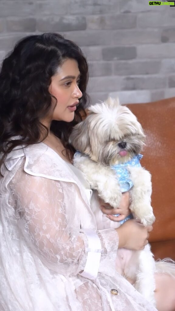 Ena Saha Instagram - Cute and puffy is our love language. #enasaha #photooftheday #photoshoot #actress #brown #dress #trending #statement #tollywood #tollywoodonline #outfitoftheday #actorslife #home #sunset #light #explorepage #explore #t2puparazzi #dogoftheday #doglover