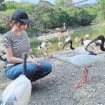 Enako Instagram - 🦆
