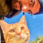Engin Akyürek Instagram – 🐱☀️