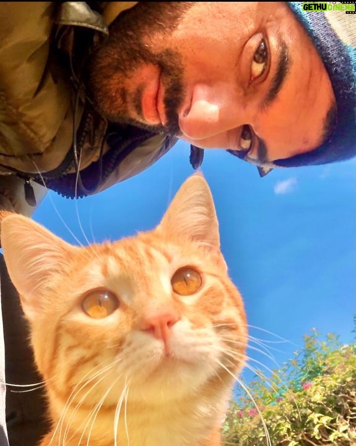 Engin Akyürek Instagram - 🐱☀️