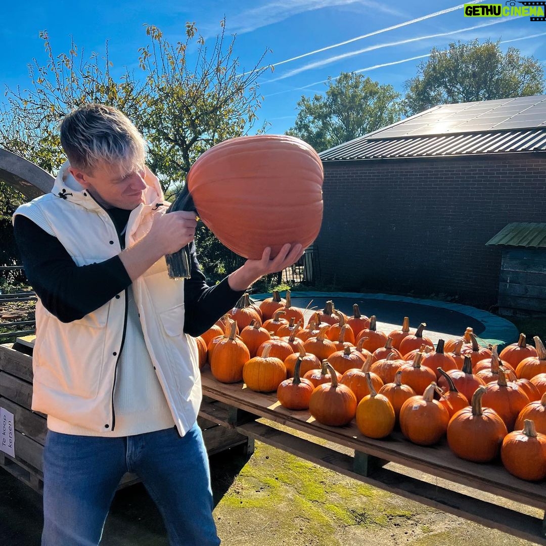 Enzo Knol Instagram - Pompoen boerderij bezoeken op de zondag met dit mooie weer 🎃 En natuurlijk ook een paar mooie gekocht. Wat doe jij op deze zondag?