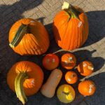Enzo Knol Instagram - Pompoen boerderij bezoeken op de zondag met dit mooie weer 🎃 En natuurlijk ook een paar mooie gekocht. Wat doe jij op deze zondag?