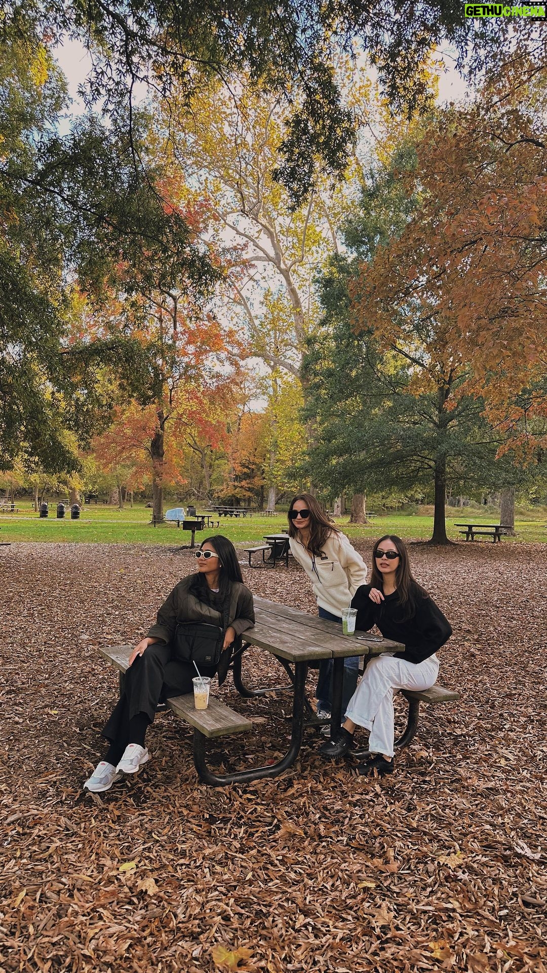 Enzy Storia Instagram - Fall’s finest hour at Great Falls 🍂