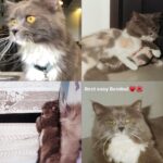 Enzy Storia Instagram - We love you Bembina♥️