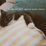Enzy Storia Instagram – Life lately 🍉