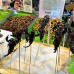 Eric André Instagram - Eating scorpions 🦂 Fisherman's Village Bophut Beach Night Market