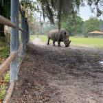 Eric Stonestreet Instagram - It’s world rhino day! Thank you to @whiteoakconservation for doing great work with rhinos and all the other animals! #worldrhinoday #whiteoakconservation @rhinosirf