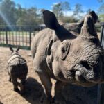 Eric Stonestreet Instagram - It’s very simple. I love @whiteoakconservation. The animals. The mission. The people.