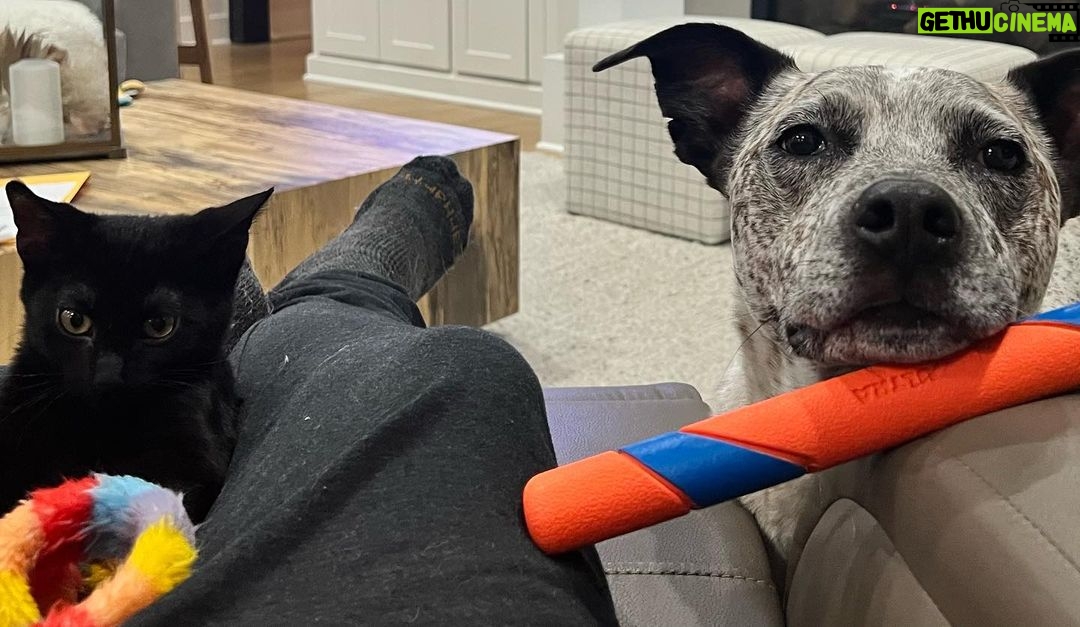 Eric Stonestreet Instagram - A bit of personal news. @mynameisroscoe reluctantly has a new pal. This is Carl. Follow this budding friendship @mynameisroscoe.