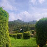 Erica Fernandes Instagram - How it all began Munnar Hill Station,god's Own Country