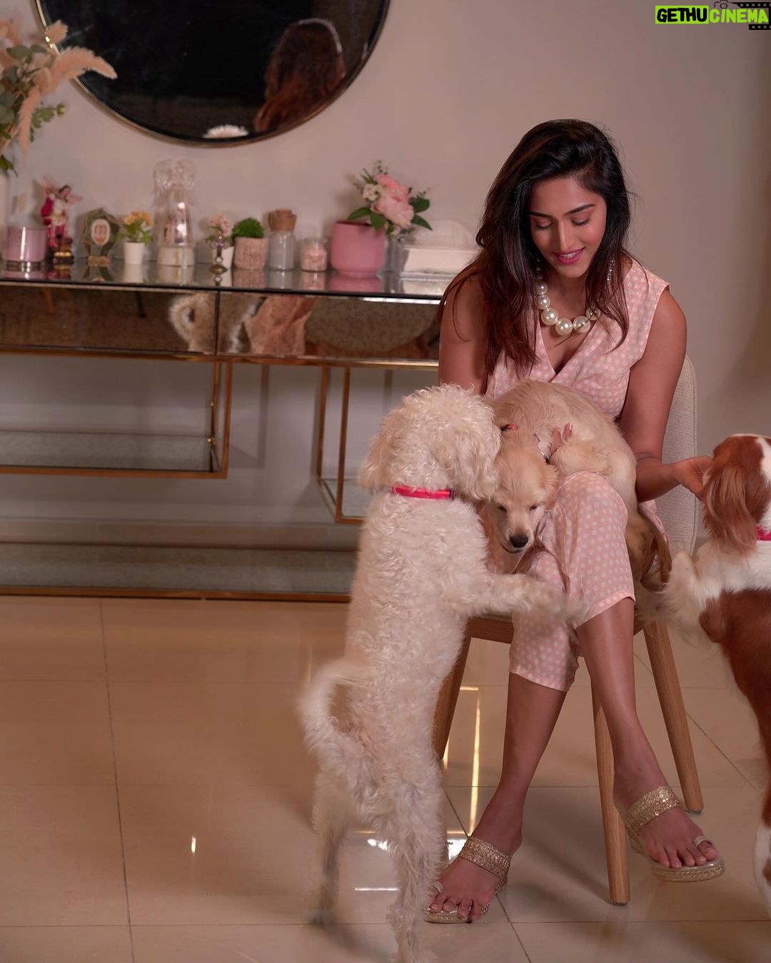 Erica Fernandes Instagram - Happy Children's Day to all the wonderful and amazing children out there! You bring so much joy, laughter, and happiness into our lives. May your day be filled with love, fun, and endless opportunities to learn and grow. Remember, you are the future, and we believe in your potential to make the world a better place. Enjoy this special day and celebrate being a child, because you truly deserve it! Happy Children's Day to you and your furry friend as well. May your bond with your pet bring you endless joy and love. And these are my 4 lovely Fur babies Champ, Ginger, KoKo & Soul Fernandes #happychildrensday #childrendsday #furbabies