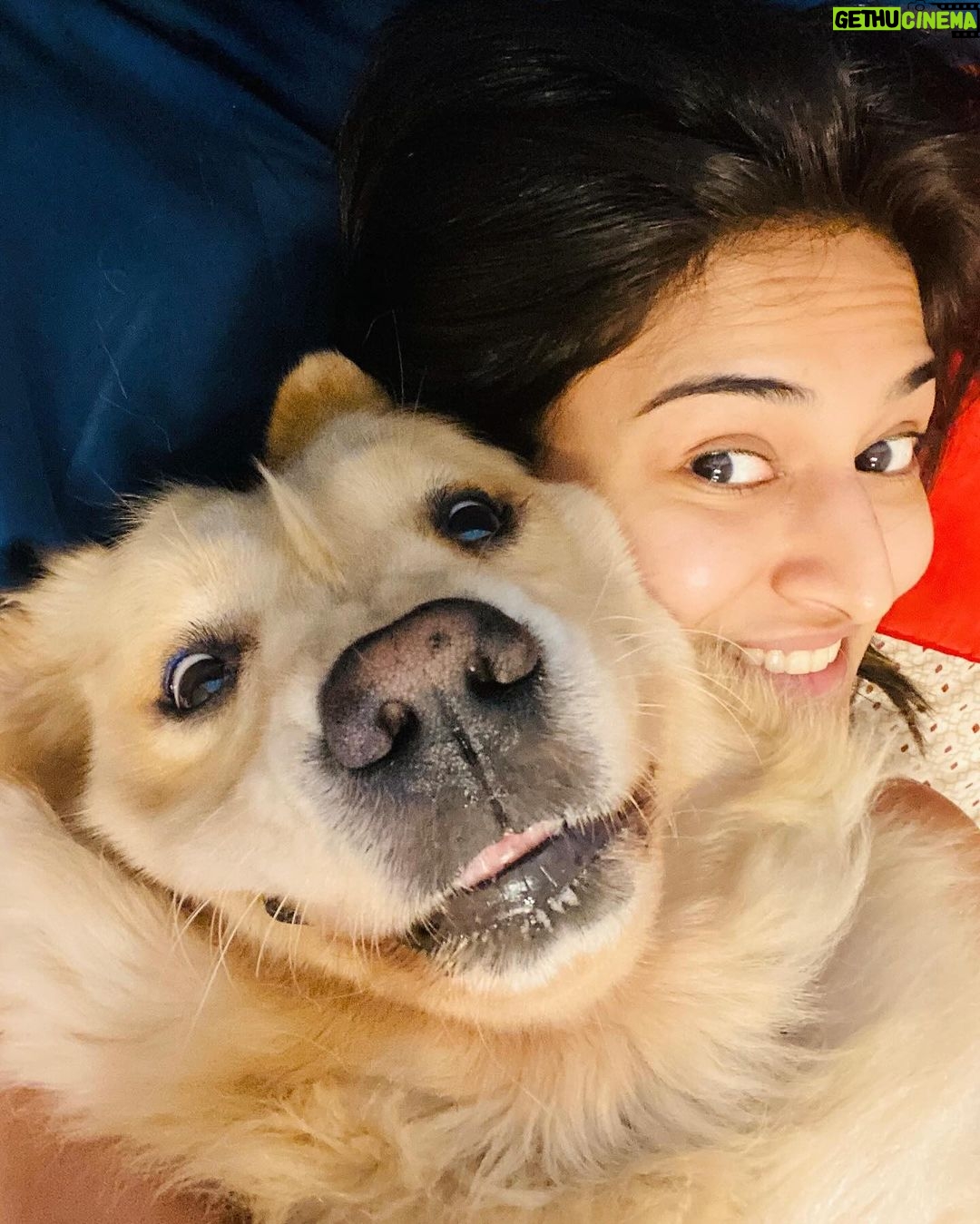 Erica Fernandes Instagram - Happy Children's Day to all the wonderful and amazing children out there! You bring so much joy, laughter, and happiness into our lives. May your day be filled with love, fun, and endless opportunities to learn and grow. Remember, you are the future, and we believe in your potential to make the world a better place. Enjoy this special day and celebrate being a child, because you truly deserve it! Happy Children's Day to you and your furry friend as well. May your bond with your pet bring you endless joy and love. And these are my 4 lovely Fur babies Champ, Ginger, KoKo & Soul Fernandes #happychildrensday #childrendsday #furbabies