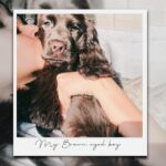 Erica Fernandes Instagram - Finding magic in the ordinary – where the everyday becomes extraordinary. ✨ #SimpleJoys #EverydayMagic