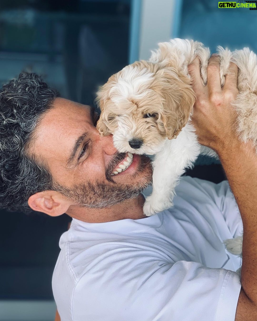 Erick Elías Instagram - #diadelperro @lunaeliasthedog
