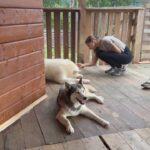 Erik Kituashvili Instagram - Согласен полностью, что собаки это ангелы. Посетили замечательное место в Олимпийской деревне, кайф❤️