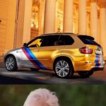 Erik Kituashvili Instagram - Сколько всего было с золотым😂😂😂