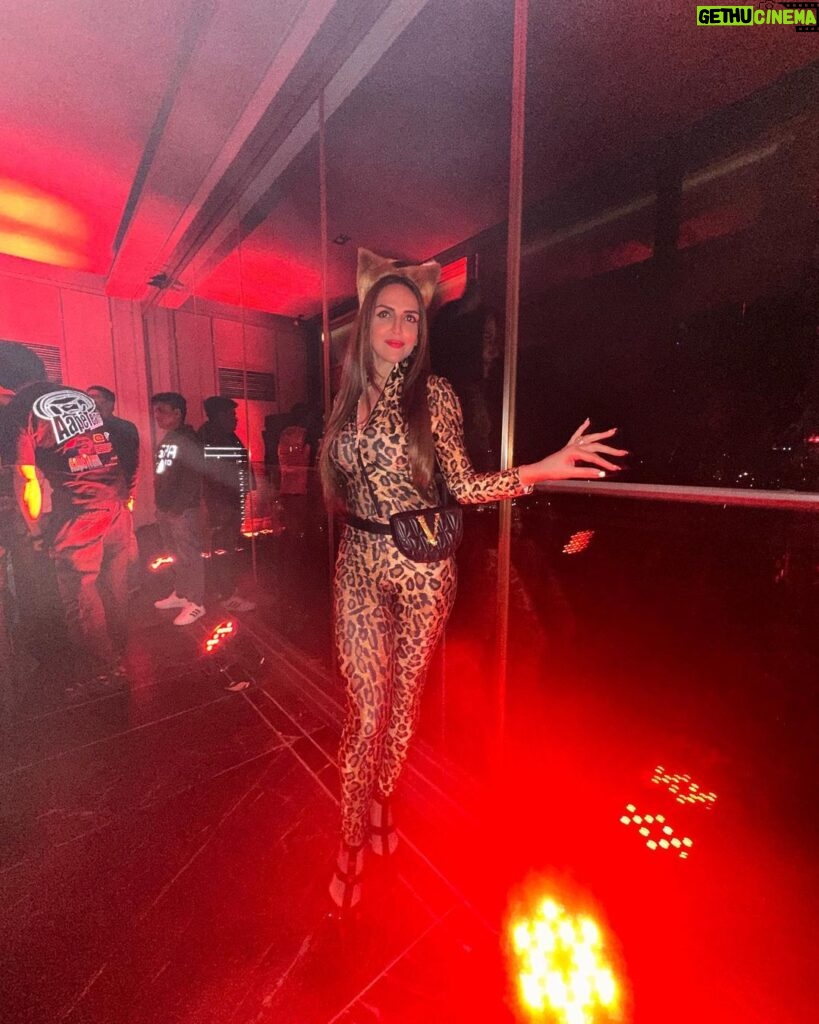 Esha Deol Instagram - Last week all of us actually took our Halloween avatars seriously 🤩 my brother @abhaydeol & I decided to go all out 🤟🏻 it was so much fun @suzkr thank you for a fantastic evening! @farahkhanali dancing with you was the highlight of the night we really got that groove on girl 🫶🏼 @tinadehal @orry1 🤗♥️ My HMU @tulsi5solanki @fatima_dsouza #halloween #halloweenmakeup #party #halloweenparty #mumbai #funnight #friends #family #gratitude ♥️🧿