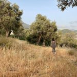 Esra Bilgiç Instagram - Antiphellos Amphitheatre