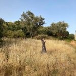 Esra Bilgiç Instagram - Antiphellos Amphitheatre