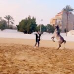 Essam Elsakka Instagram - ✌️✌️🐴