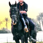 Essam Elsakka Instagram - ✌️✌️✌️🐴 #horse #horses #essamelsaka