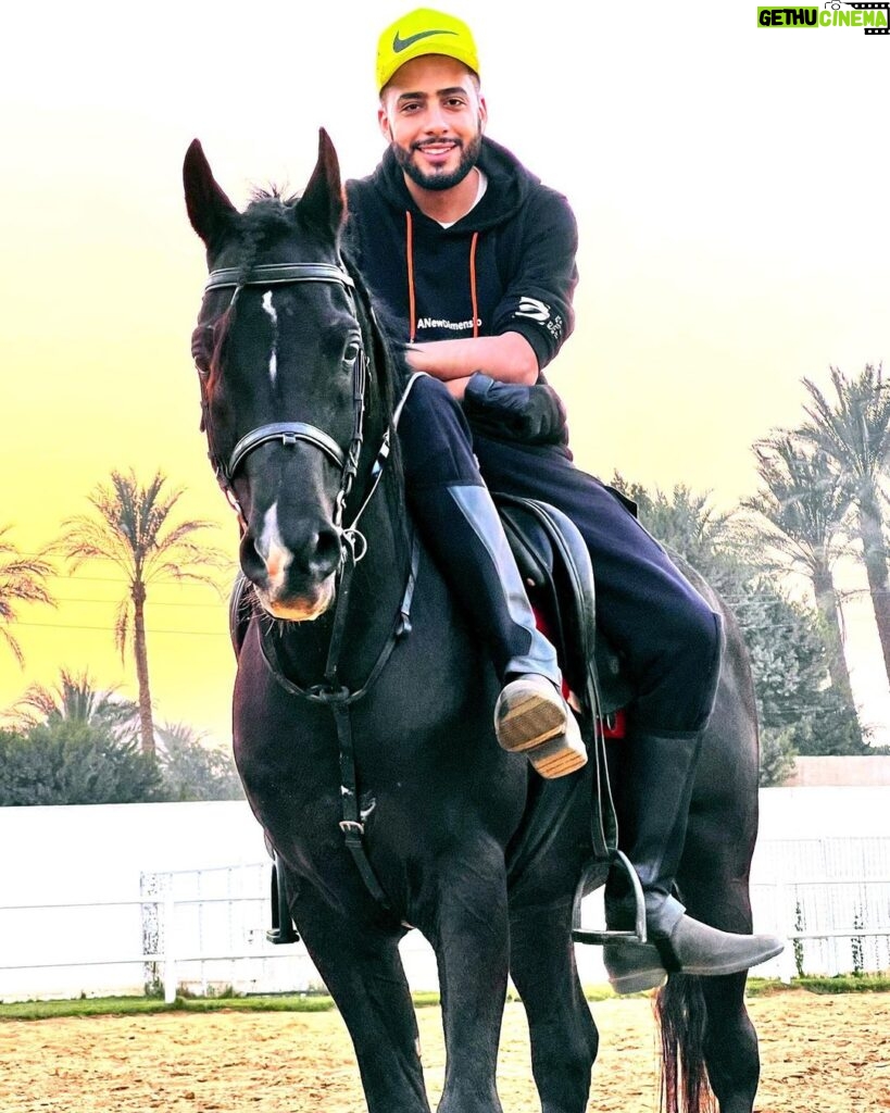 Essam Elsakka Instagram - ✌️✌️✌️🐴 #horse #horses #essamelsaka
