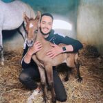 Essam Elsakka Instagram - #حور ❤️🐴🐴 #horse #horses #horsesofinstagram #equestrian #horseriding #equine #pony #pferd #equestrianlife #horselove #dressage #horselover #instahorse #love #cheval #showjumping #horselife #photography #nature #pferde #horseofinstagram #caballo #riding #horsebackriding #pferdeliebe #caballos #horsepower #instagram #cavalo