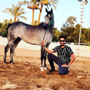 Essam Elsakka Instagram - #horse ❤️🐎❤️