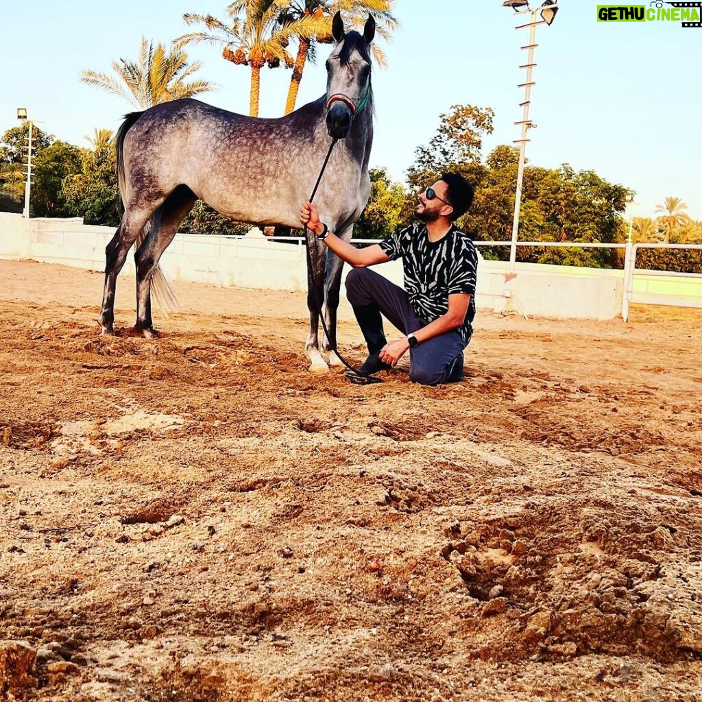Essam Elsakka Instagram - #horse ❤🐎❤