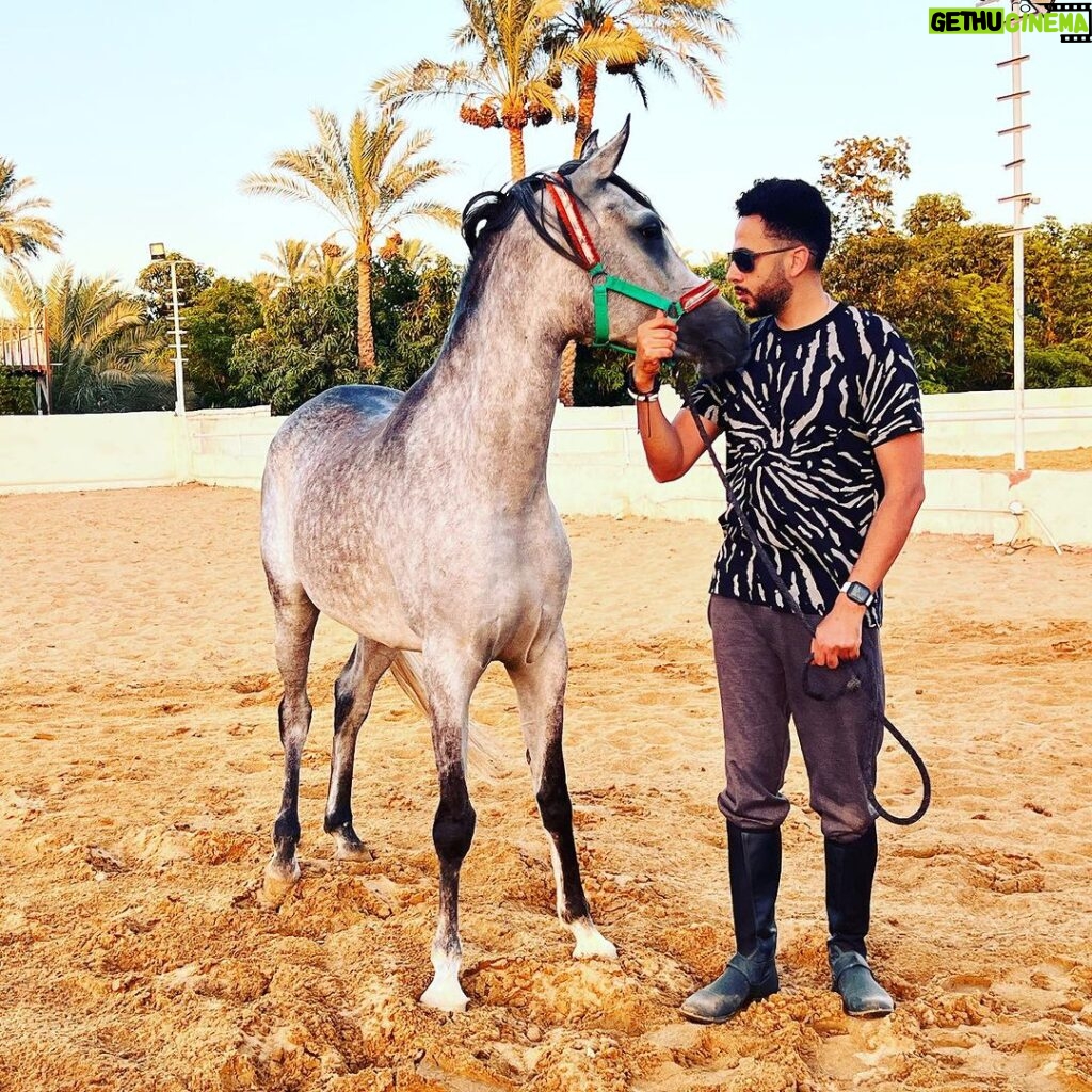 Essam Elsakka Instagram - #horse ❤️🐎❤️