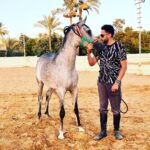Essam Elsakka Instagram – #horse ❤️🐎❤️