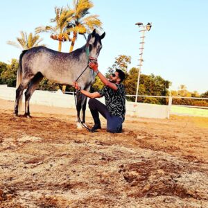 Essam Elsakka Instagram - #horse ❤️🐎❤️