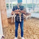Essam Elsakka Instagram - #deer 🦌❤️❤️