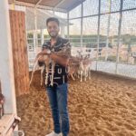 Essam Elsakka Instagram - #deer 🦌❤️❤️