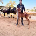 Essam Elsakka Instagram - نعيم ❤️🐴 ماشاءالله تبارك الله
