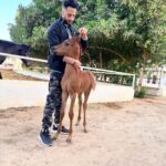Essam Elsakka Instagram - نعيم ❤️🐴 ماشاءالله تبارك الله
