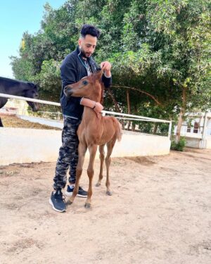 Essam Elsakka Instagram - نعيم ❤️🐴

ماشاءالله  تبارك الله